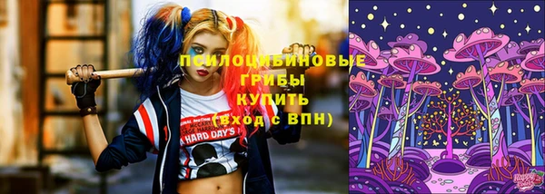 ECSTASY Армянск