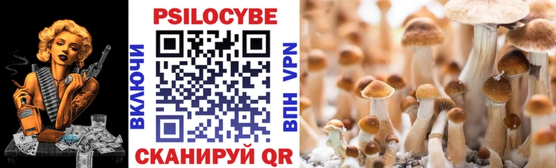 KRAKEN ONION  Славск  Галлюциногенные грибы GOLDEN TEACHER 